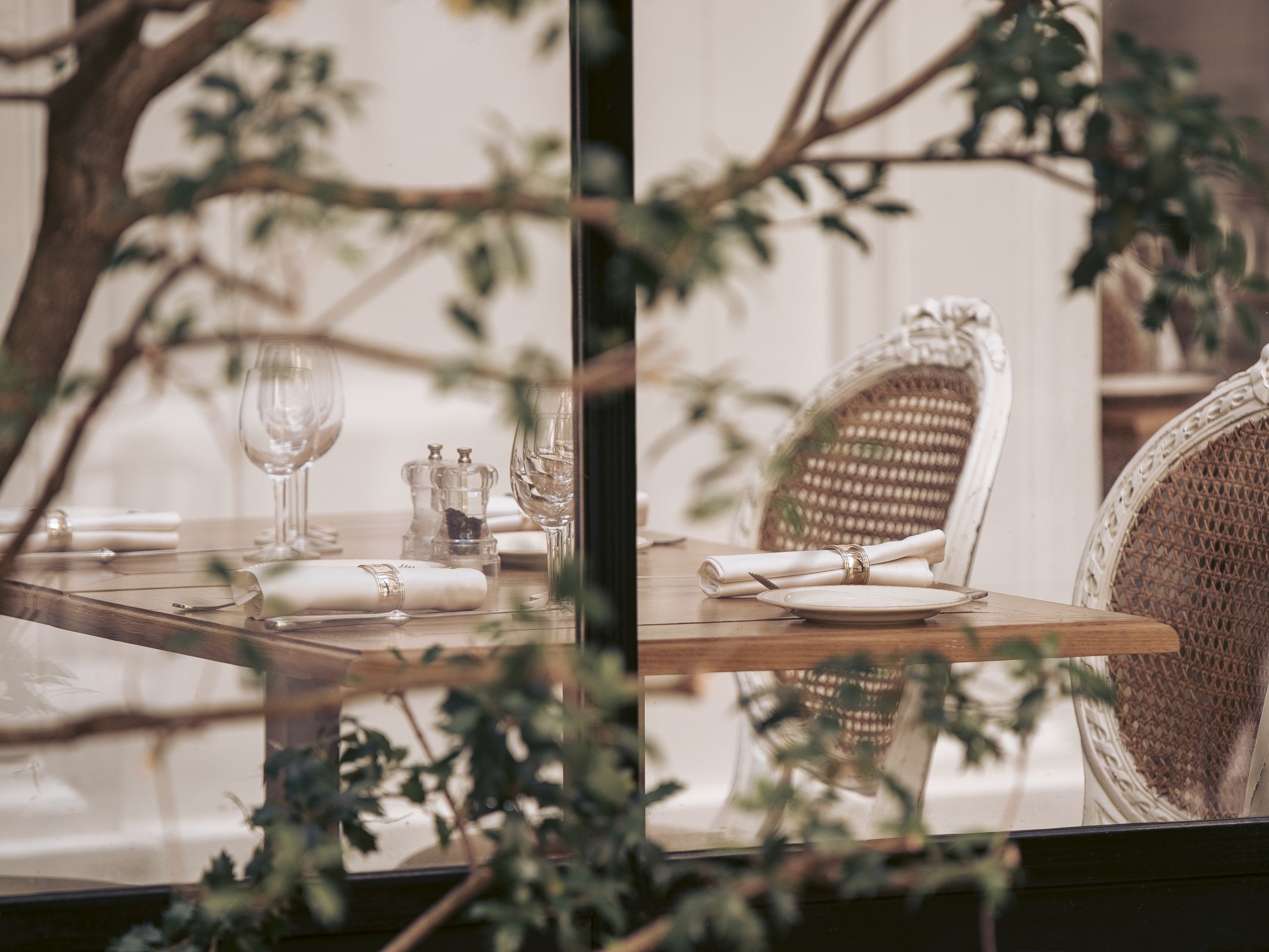 Hôtel Alfred Sommier - Le Jardin